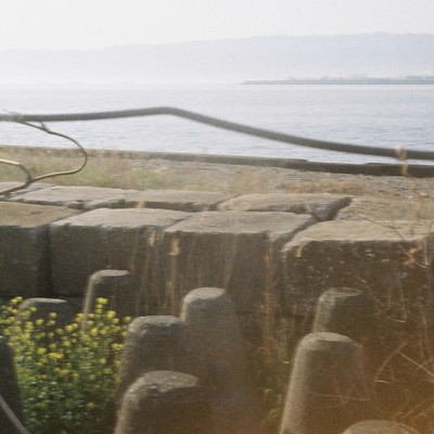 アウトプットのジャケット写真