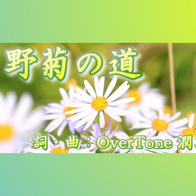 Wild chrysanthemum path Front Cover