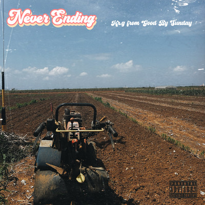 Never Ending Front Cover