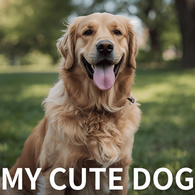 My Cute Dog Front Cover