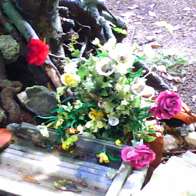 愛の浅瀬のジャケット写真