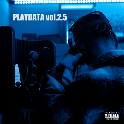 PLAYDATA vol.2.5のジャケット写真