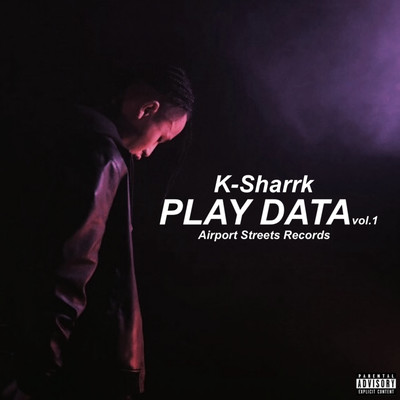 PLAYDATA vol.1のジャケット写真