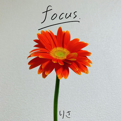 focus Front Cover