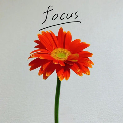 focus Front Cover