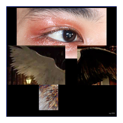 Glitter Front Cover