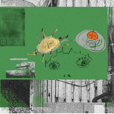 nature & artifact Front Cover