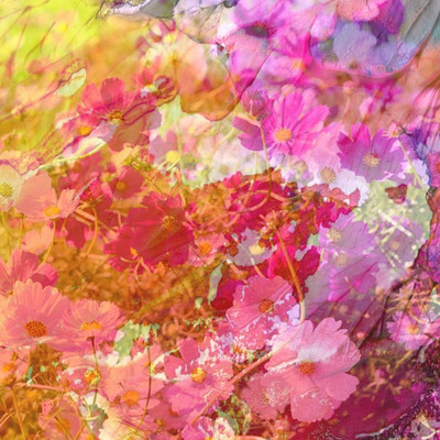 Colors Front Cover