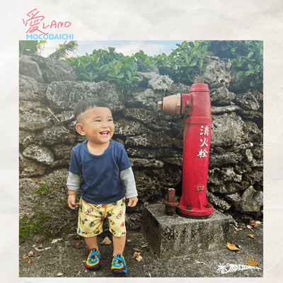 ISLAND Front Cover