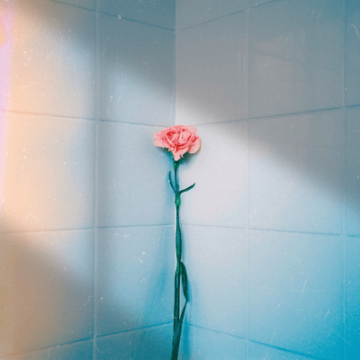 一輪花のジャケット写真