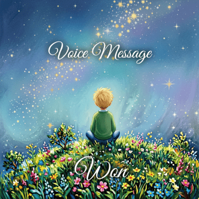 Voice Message (feat. KEI) Front Cover