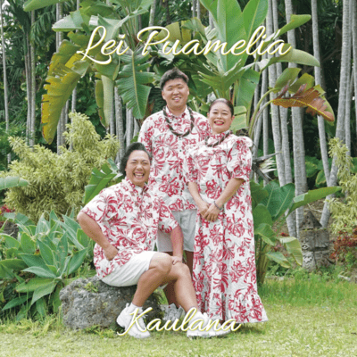 Lei Puameliaのジャケット写真