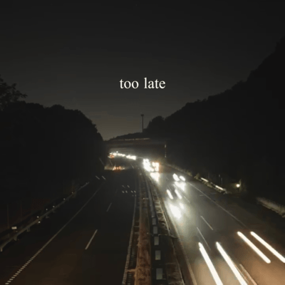 too late Front Cover