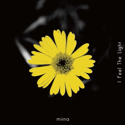 I Feel The Lightのジャケット写真