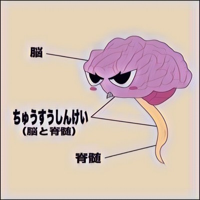 CHUSU-SHINKEI Front Cover