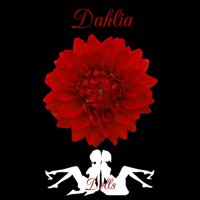 Dahlia Front Cover