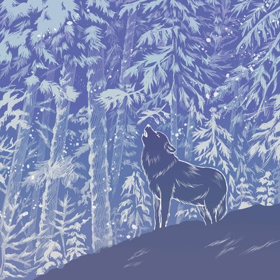 alpha Front Cover