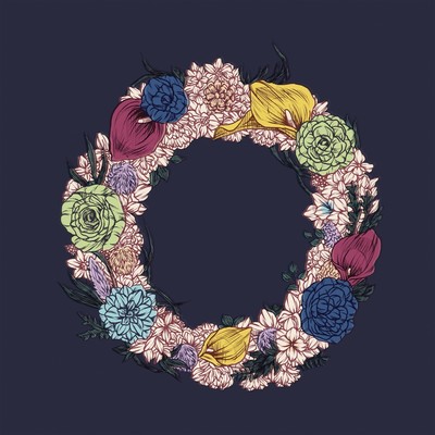 Super attractor Front Cover