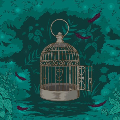 karanosu -Violin and piano duo- Front Cover