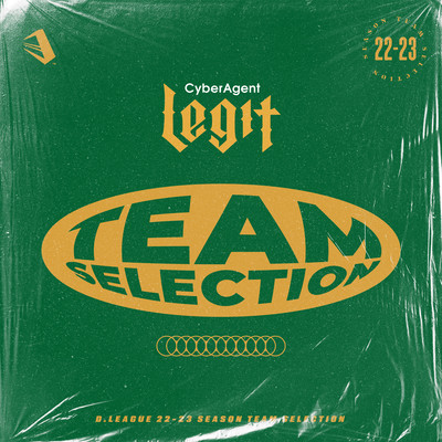 D.LEAGUE 22 -23 SEASON - TEAM SELECTIONのジャケット写真