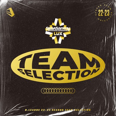 D.LEAGUE 22 -23 SEASON - TEAM SELECTIONのジャケット写真
