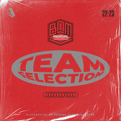 D.LEAGUE 22 -23 SEASON - TEAM SELECTIONのジャケット写真
