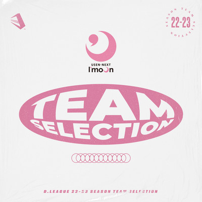 D.LEAGUE 22 -23 SEASON - TEAM SELECTIONのジャケット写真