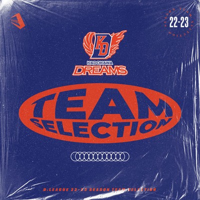 D.LEAGUE 22 -23 SEASON - TEAM SELECTIONのジャケット写真