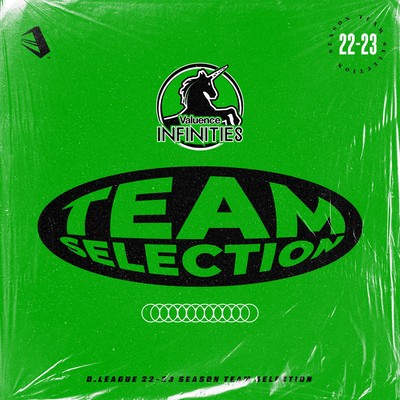 D.LEAGUE 22 -23 SEASON - TEAM SELECTIONのジャケット写真