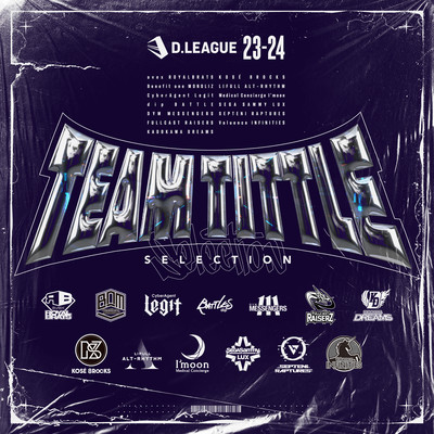 D.LEAGUE 23 -24 SEASON - TEAM TITLE SELECTIONのジャケット写真