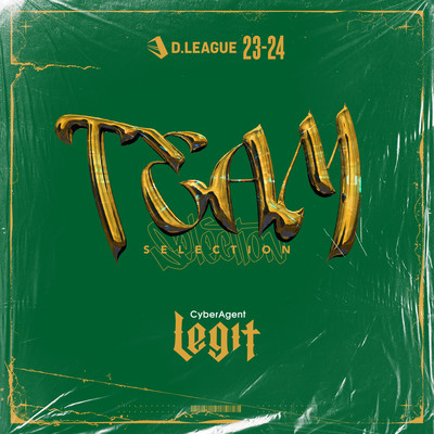 D.LEAGUE 23 -24 SEASON - TEAM SELECTIONのジャケット写真