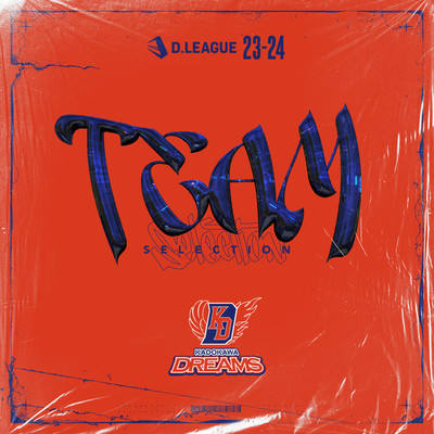 D.LEAGUE 23 -24 SEASON - TEAM SELECTION Front Cover