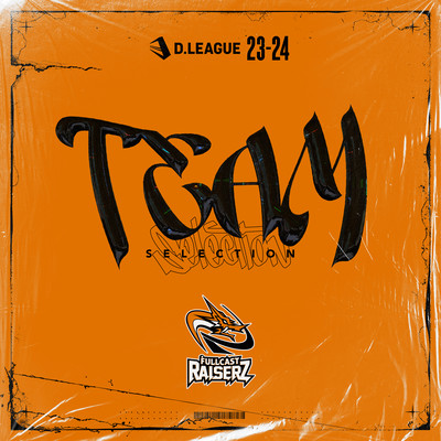 D.LEAGUE 23 -24 SEASON - TEAM SELECTIONのジャケット写真