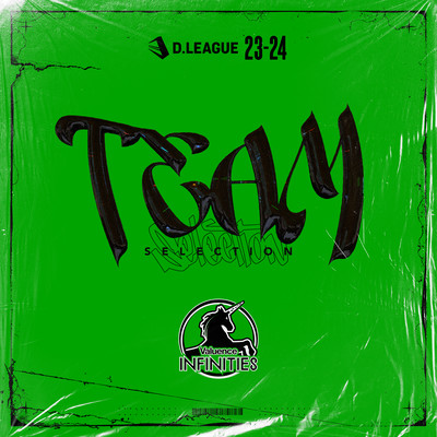 D.LEAGUE 23 -24 SEASON - TEAM SELECTIONのジャケット写真