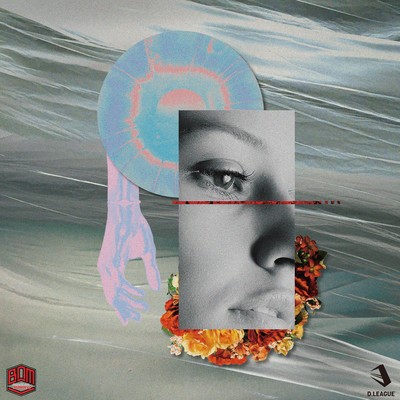 Bring it on ! Front Cover