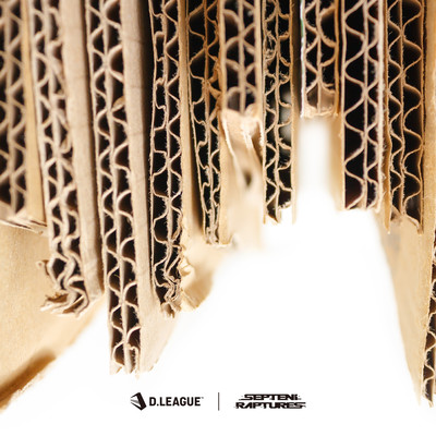 SHINSEIKATSU (feat. DJ MONJYA) Front Cover