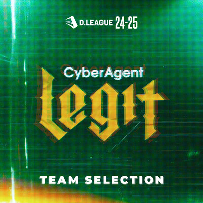 D.LEAGUE 24 -25 SEASON - TEAM SELECTIONのジャケット写真