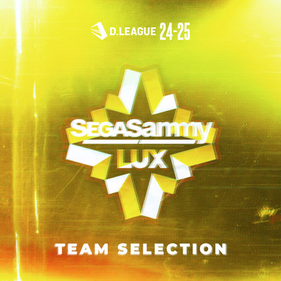 D.LEAGUE 24 -25 SEASON - TEAM SELECTIONのジャケット写真