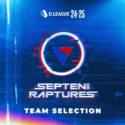 D.LEAGUE 24 -25 SEASON - TEAM SELECTIONのジャケット写真