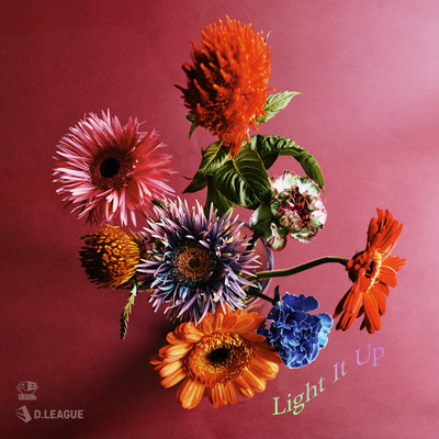 Light It Up (feat. J. Dolla) Front Cover