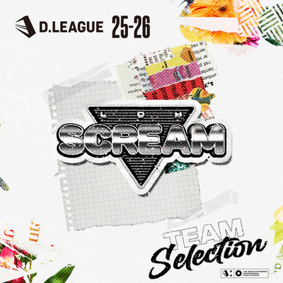D.LEAGUE 25 -26 SEASON - TEAM SELECTIONのジャケット写真