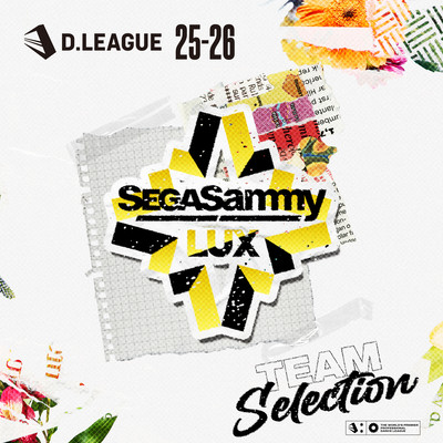 D.LEAGUE 25 -26 SEASON - TEAM SELECTIONのジャケット写真