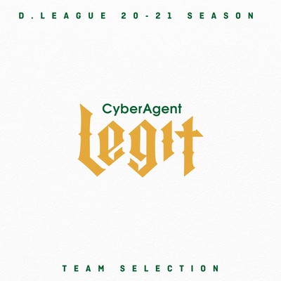 D.LEAGUE 20 -21 SEASON - TEAM SELECTIONのジャケット写真