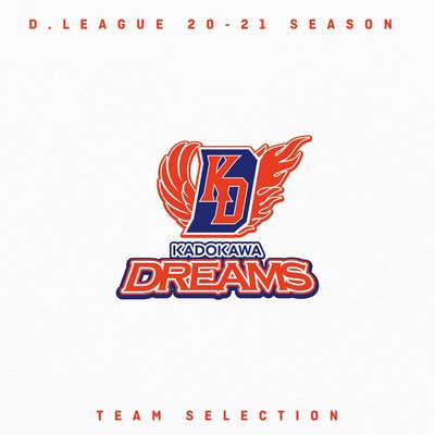 D.LEAGUE 20 -21 SEASON - TEAM SELECTIONのジャケット写真