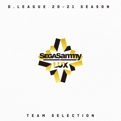 D.LEAGUE 20 -21 SEASON - TEAM SELECTIONのジャケット写真