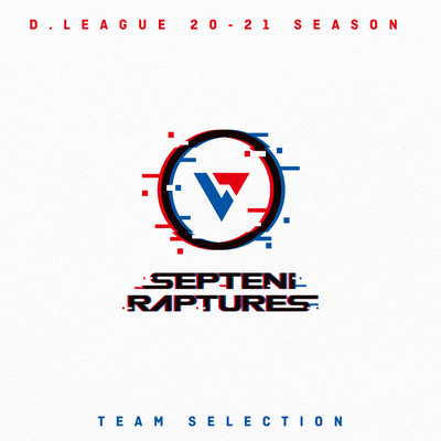 D.LEAGUE 20 -21 SEASON - TEAM SELECTIONのジャケット写真