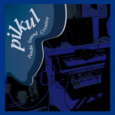 pilkul (feat. This is not me)のジャケット写真