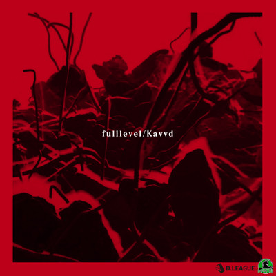 fulllevelのジャケット写真
