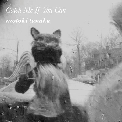 Catch Me If You Can Front Cover