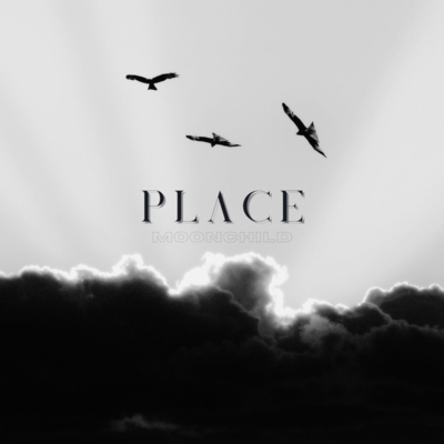 PLACEのジャケット写真